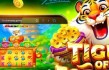 Auditoria 333bet Revela Como a Plataforma Protege os Dados e Garante o Jogo Justo no Brasil